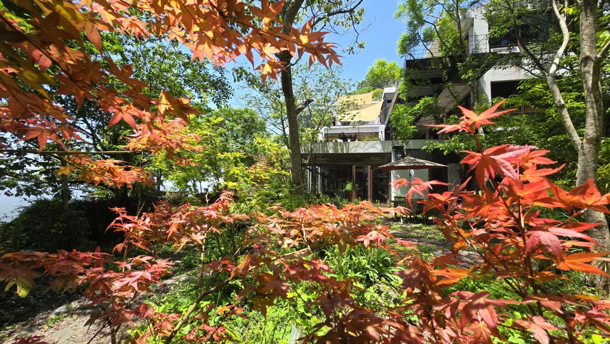 Maple Map B&B Dahu Exterior photo